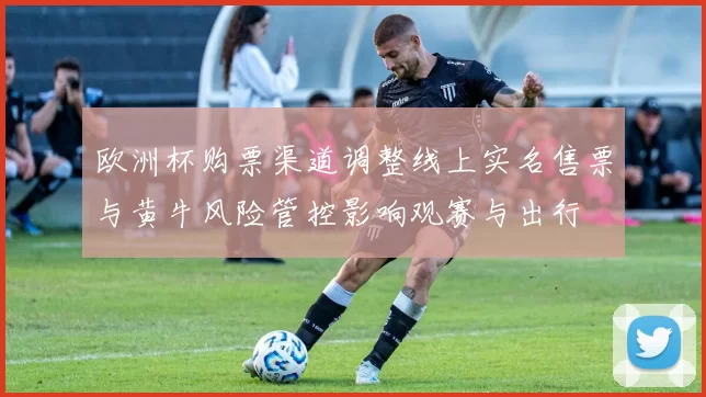 欧洲杯购票渠道调整线上实名售票与黄牛风险管控影响观赛与出行