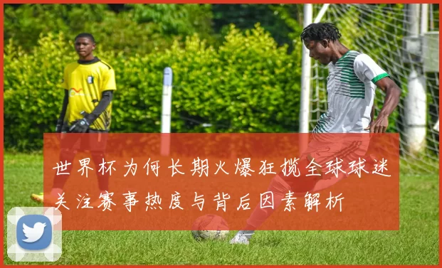 世界杯为何长期火爆狂揽全球球迷关注赛事热度与背后因素解析
