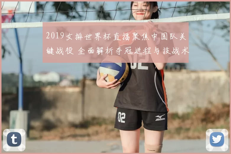 2019女排世界杯直播聚焦中国队关键战役 全面解析夺冠进程与技战术亮点