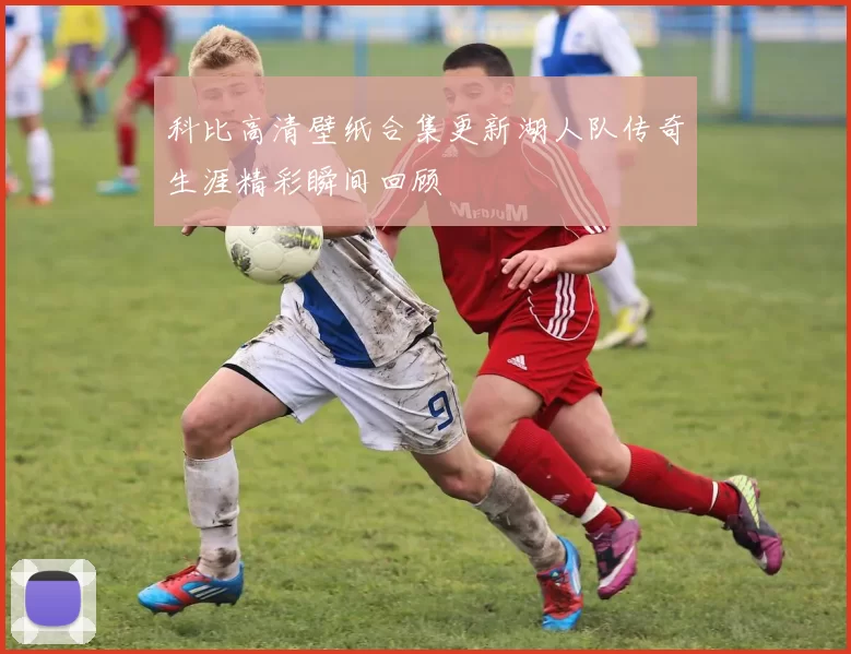 科比高清壁纸合集更新湖人队传奇生涯精彩瞬间回顾